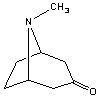 Tropinone